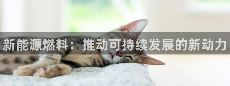 众腾娱乐官方客服电话