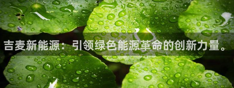 众腾娱乐平台官网入口