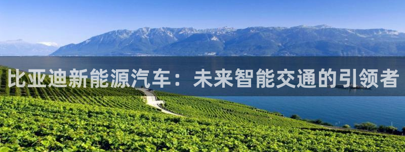 众腾娱乐平台
