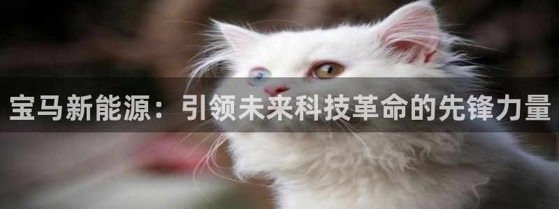 云南众腾娱乐