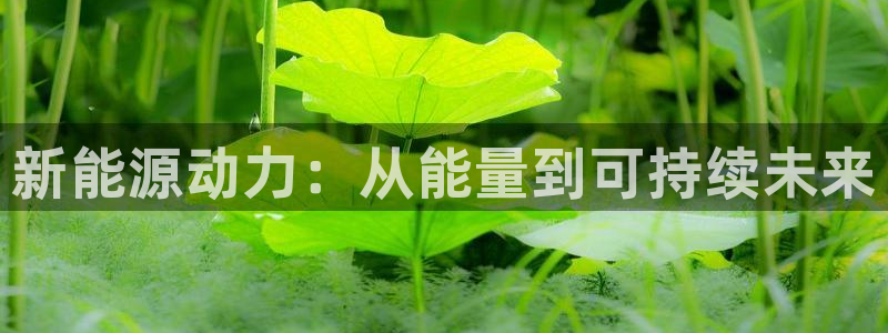 楚雄众腾娱乐在哪里