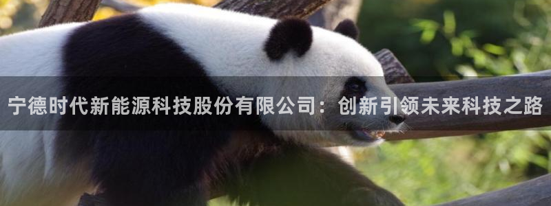 众腾娱乐梦幻演艺店