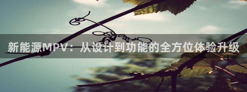 腾众娱乐是什么
