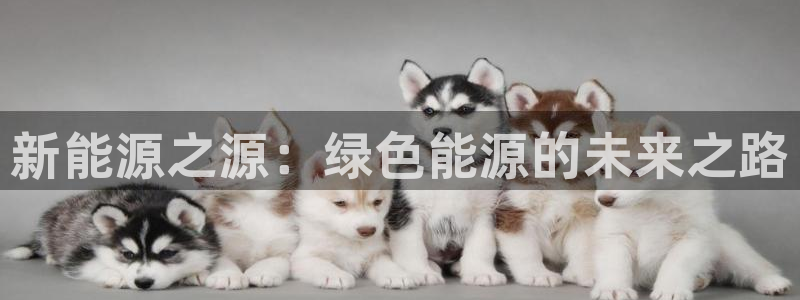 楚雄众腾娱乐是干什么的：新能源之源：绿色