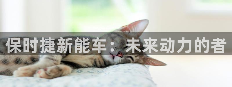 众腾娱乐公司简介