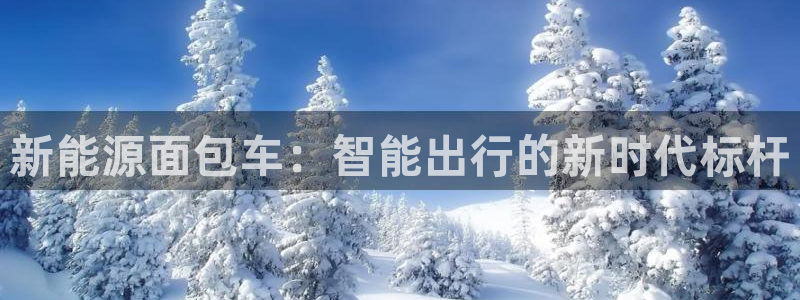 云南众腾娱乐：新能源面包车：智能出行的新