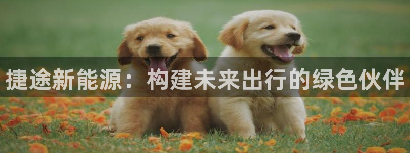 众腾娱乐客服：捷途新能源：构建未来出行的