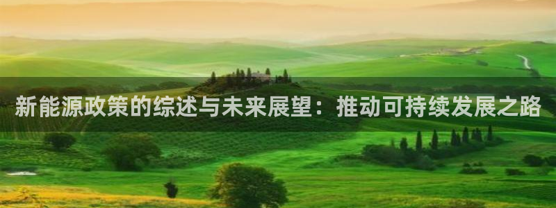 众腾娱乐客服：新能源政策的综述与未来展望