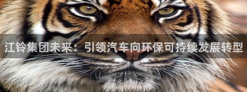 众腾娱乐平台