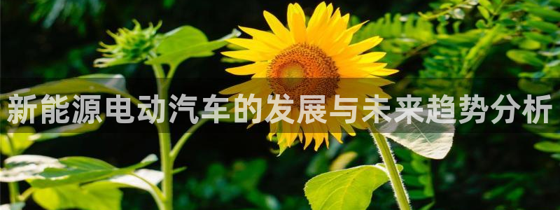 众腾娱乐登入探索无限空间