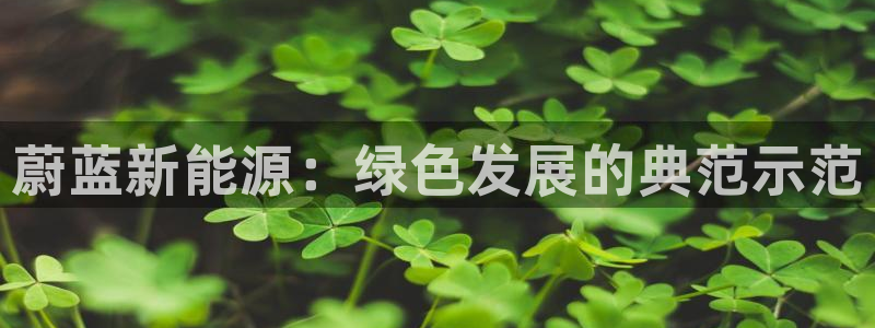 众腾娱乐集团有限公司：蔚蓝新能源：绿色发