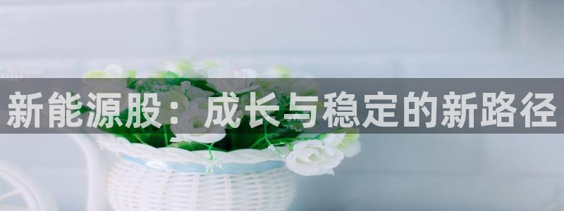 众腾娱乐梦幻演艺店：新能源股：成长与稳定