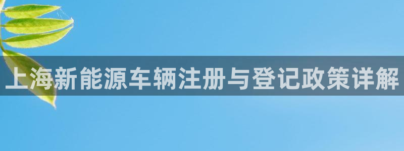 腾耀娱乐众320059：上海新能源车辆注