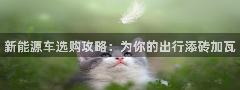 楚雄众腾娱乐是干什么的