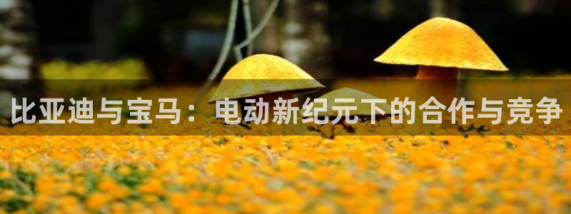 腾众娱乐彩票:比亚迪与宝马:电动新纪元下的合作与竞争