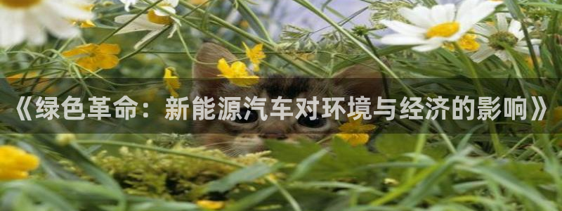 众腾娱乐博彩