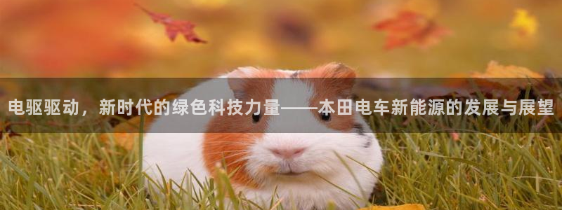 腾耀3娱乐众123