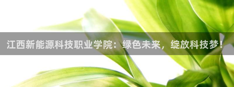 腾耀娱乐众推55312：江西新能源科技职