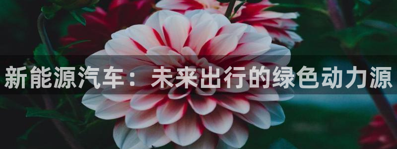 腾众娱乐彩票:新能源汽车:未来出行的绿色动力源