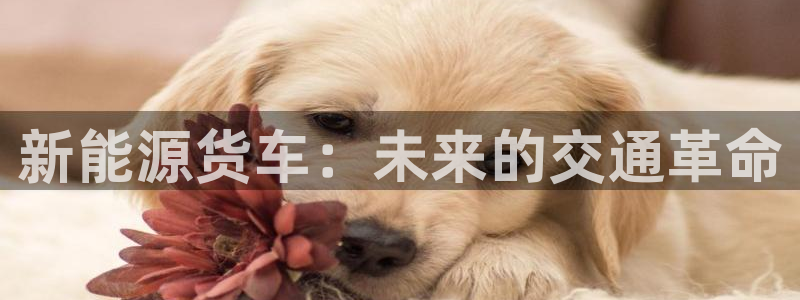 彝族自治州众腾娱乐:新能源货车:未来的交通革命