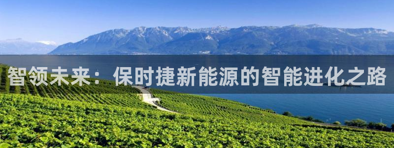 腾耀娱乐众推55312:智领未来:保时捷新能源的智能进化之路