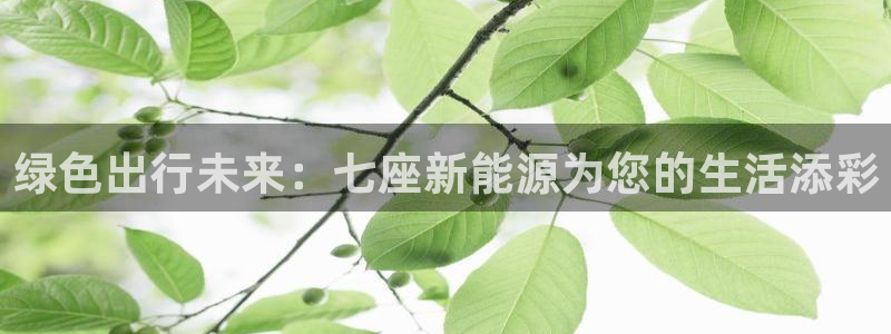 众腾娱乐:绿色出行未来:七座新能源为您的生活添彩