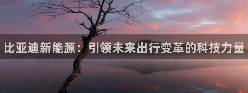众腾娱乐博彩:比亚迪新能源:引领未来出行变革的科技力量