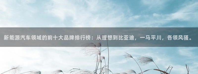 众腾娱乐毕 7O935:新能源汽车领域的前十大品牌排行榜:从