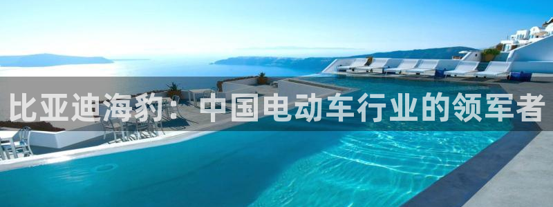 众腾娱乐集团有限公司:比亚迪海豹:中国电动车行业的领军者