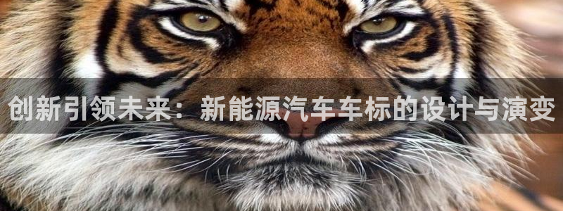 众腾娱乐蚀 7O935:创新引领未来:新能源汽车车标的设计与