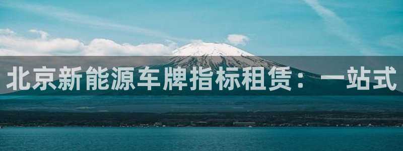 腾众娱乐:北京新能源车牌指标租赁:一站式