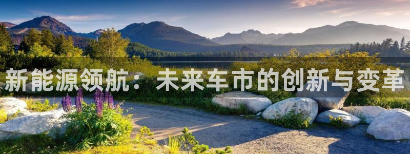 腾耀娱乐众推55312:新能源领航:未来车市的创新与变革