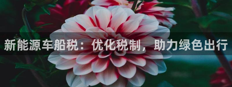 腾耀娱乐众推55312:新能源车船税:优化税制,助力绿色出行