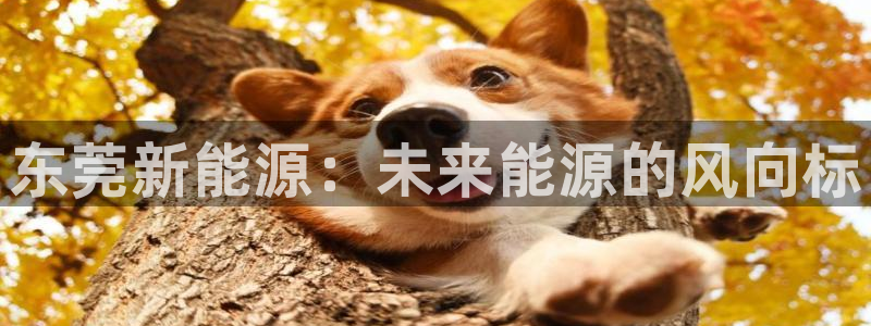 腾耀娱乐众推99840:东莞新能源:未来能源的风向标