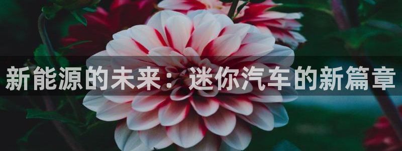 众腾娱乐蚀 7O935:新能源的未来:迷你汽车的新篇章