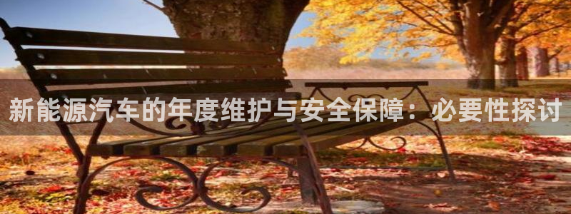 众腾娱乐蚀 7O935:新能源汽车的年度维护与安全保障:必要