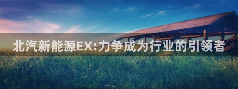 腾众娱乐是个啥:北汽新能源EX:力争成为行业的引领者