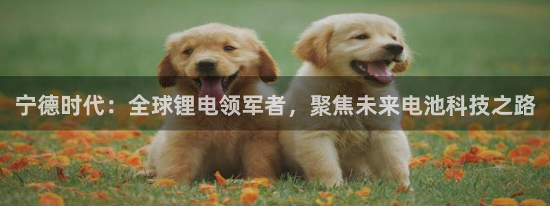 包头众腾娱乐密室逃脱:宁德时代:全球锂电领军者,聚焦未来电池