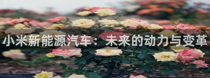 众腾娱乐app:小米新能源汽车:未来的动力与变革