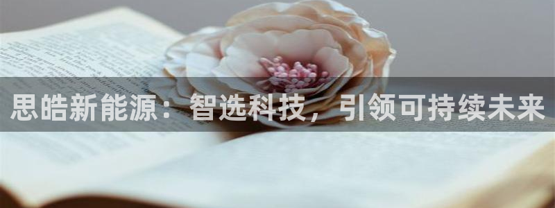 腾众竞技娱乐:思皓新能源:智选科技,引领可持续未来