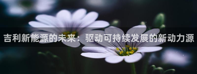 众腾娱乐总代理:吉利新能源的未来:驱动可持续发展的新动力源