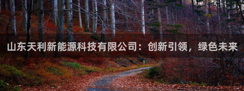 众联别墅g座上腾娱乐有限公司:山东天利新能源科技有限公司:创