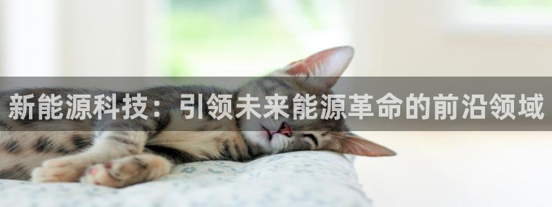 众联别墅g座上腾娱乐有限公司:新能源科技:引领未来能源革命的
