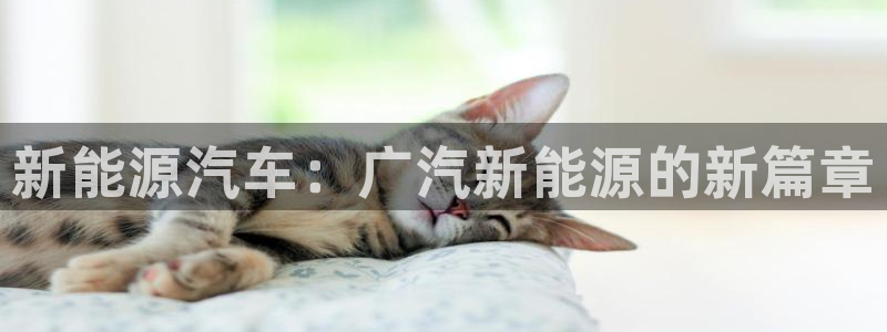 众腾娱乐平台群7O777