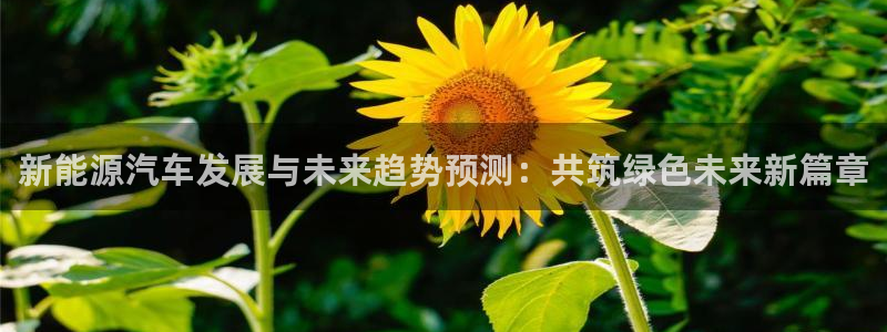 众腾娱乐注册:新能源汽车发展与未来趋势预测:共筑绿色未来新篇