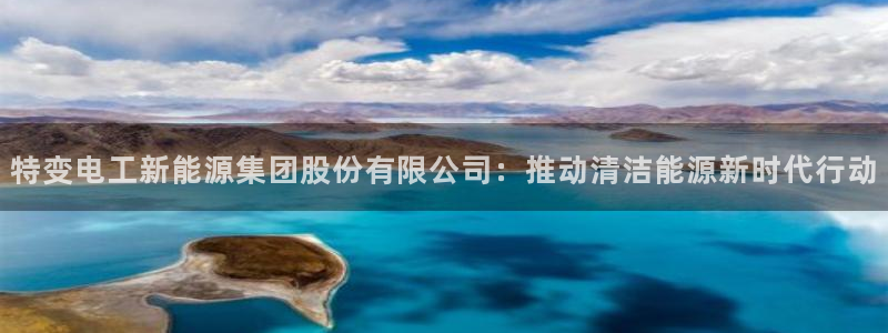 腾众娱乐是什么：特变电工新能源集团股份有