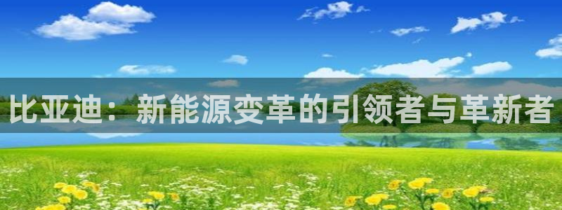众腾娱乐邵阳：比亚迪：新能源变革的引领者