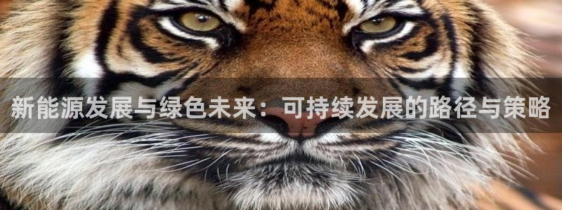 众腾娱乐app