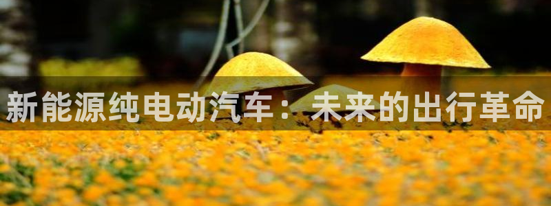 腾耀娱乐29999出众：新能源纯电动汽车